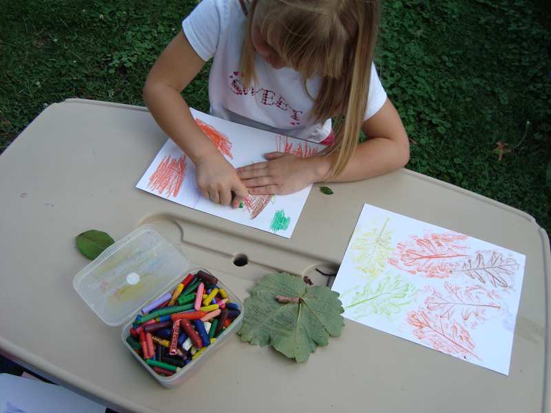 Supplies needed for a child to do a leaf rubbing. Image by Mary Jane Frogge, Nebraska Extension Associate.