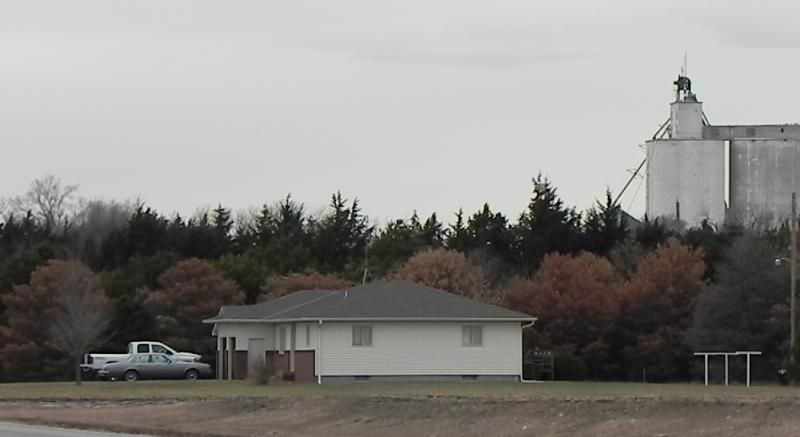 Image of windbreak suffering tree loss due to pine wilt. 