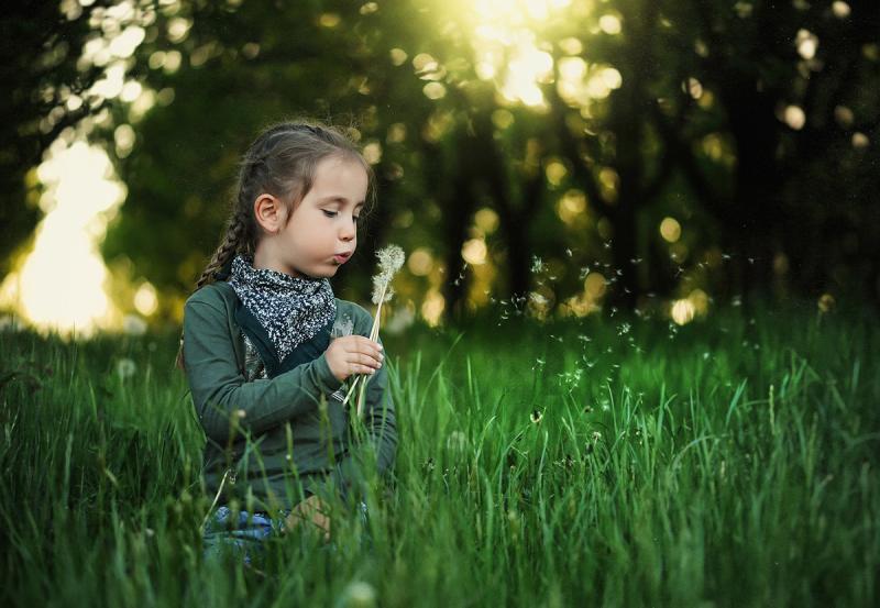 Picture of Child in new grass.