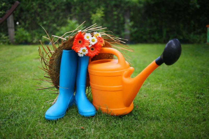 Image of tools for the vegetable garden. 