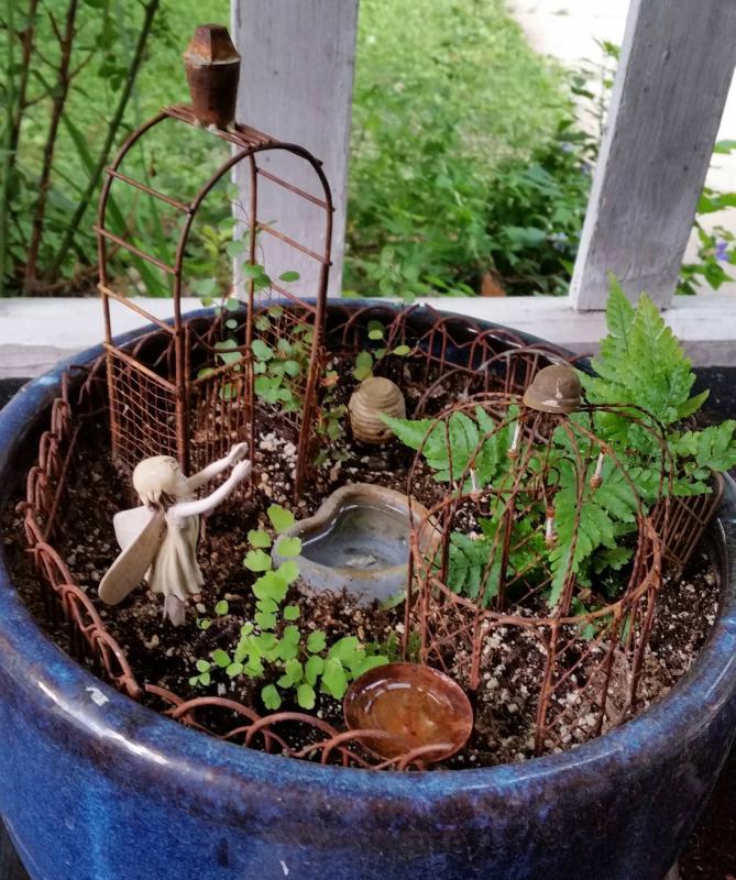 Picture of fairy garden in a pot.