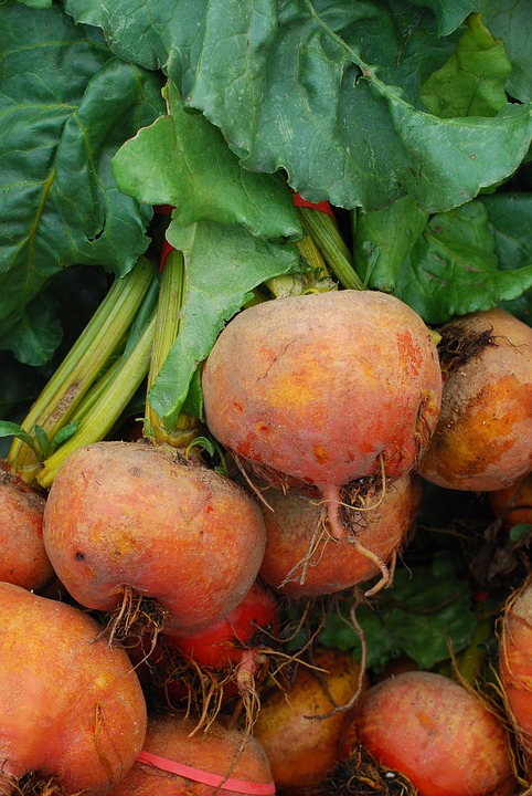 Picture of golden beets