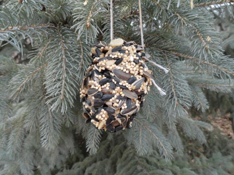 Picture of a Pinecone bird feeder.