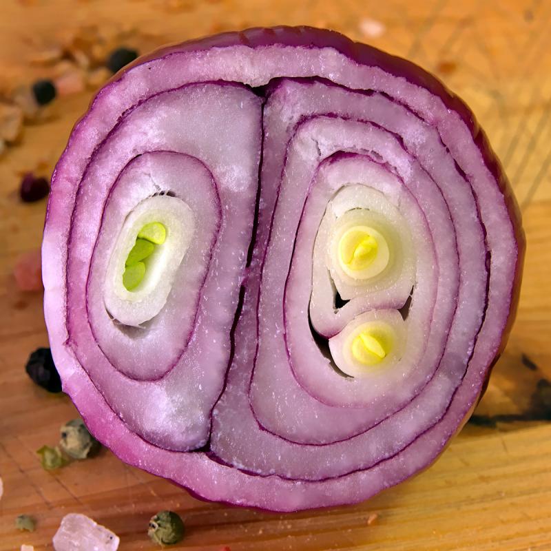 Picture of red onion sliced in half.