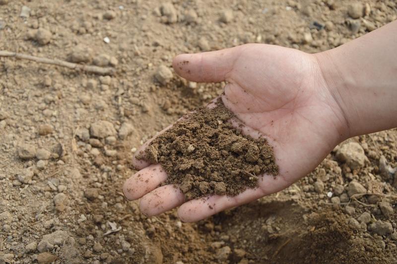 Image of poor soil. 