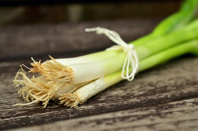 Image of green spring onions. 