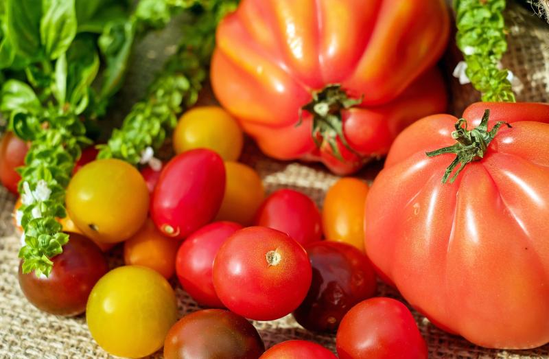 Image of many different types of tomatoes. 