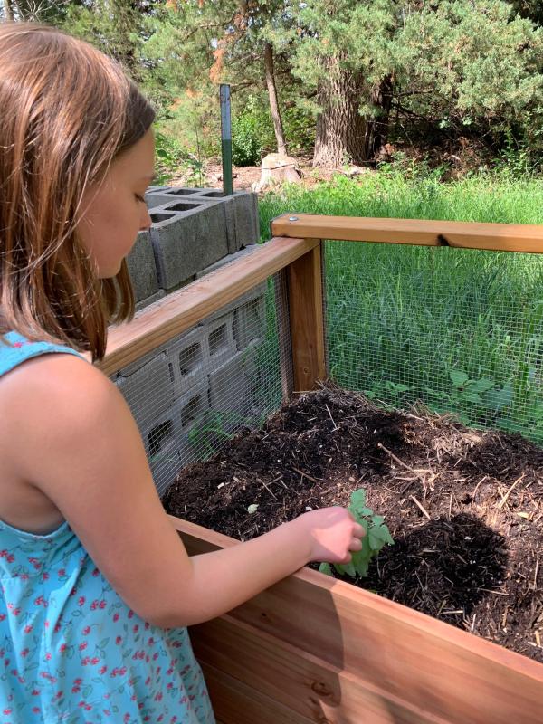 Picture of composting for kids.