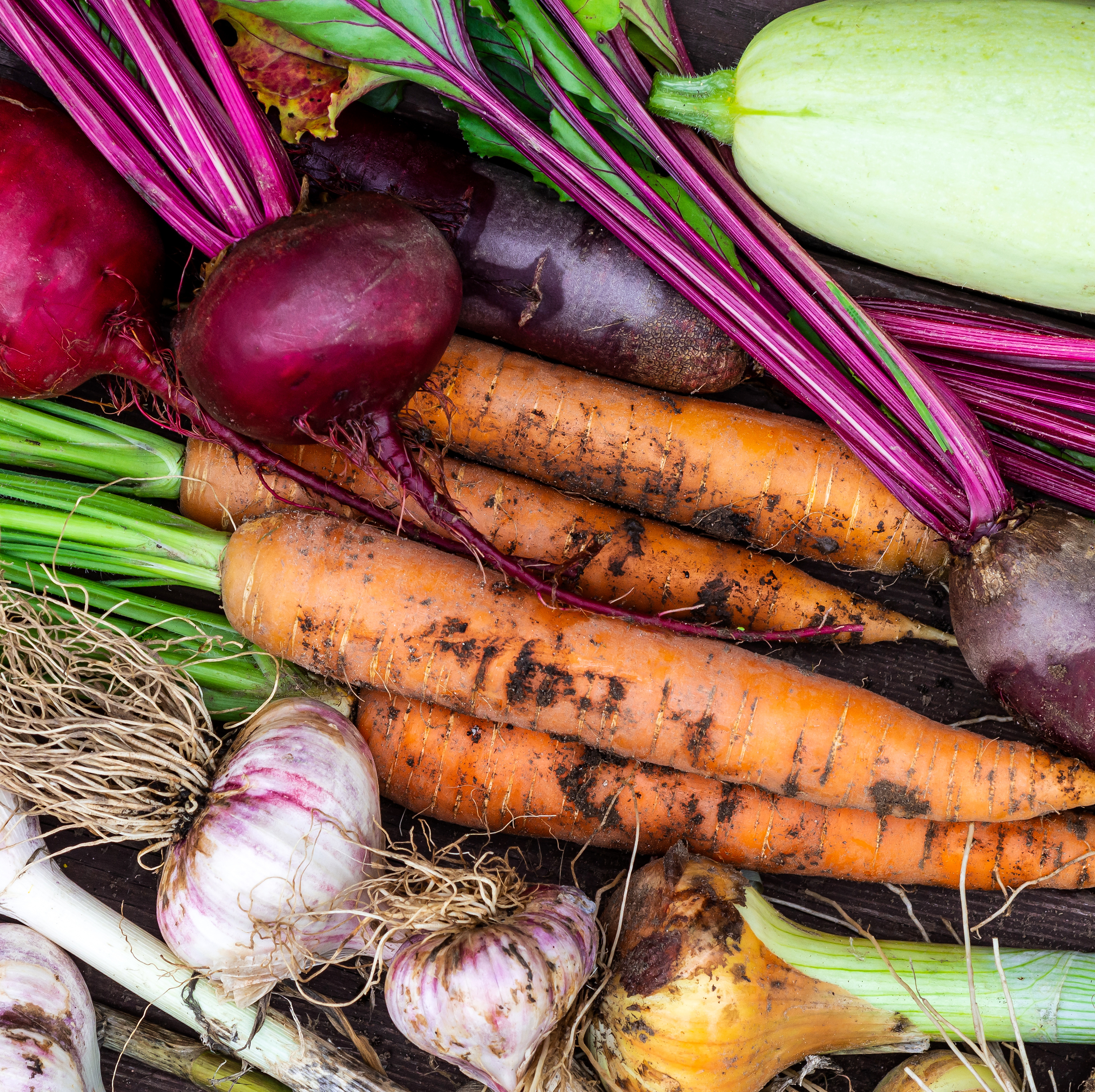 Fresh vegetables including carrots, beets, garlic, onions, and zucchini on a wooden surface.