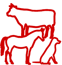 Beef cattle, horse and dog icons