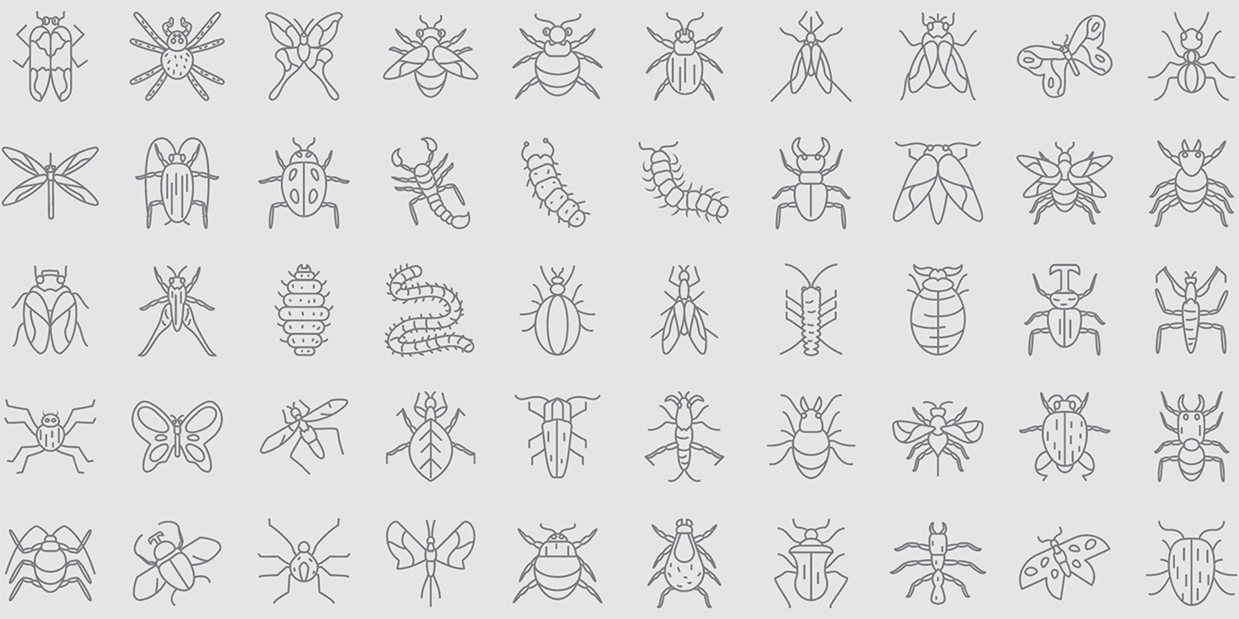 image of bug icons