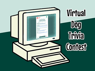 1990s type computer with wording that says Virtual Dog Trivia Contest