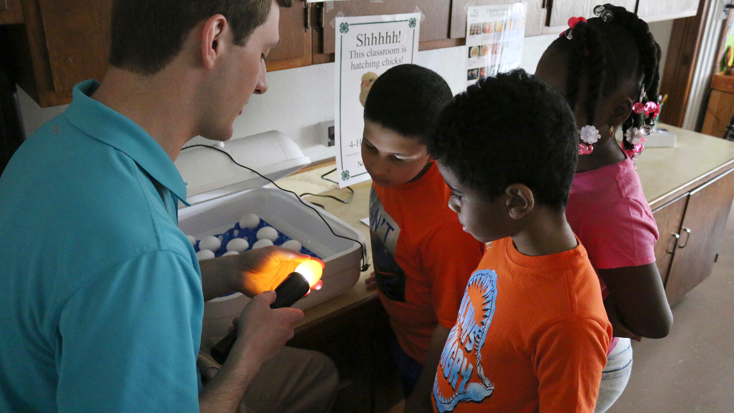 image of egg candeling