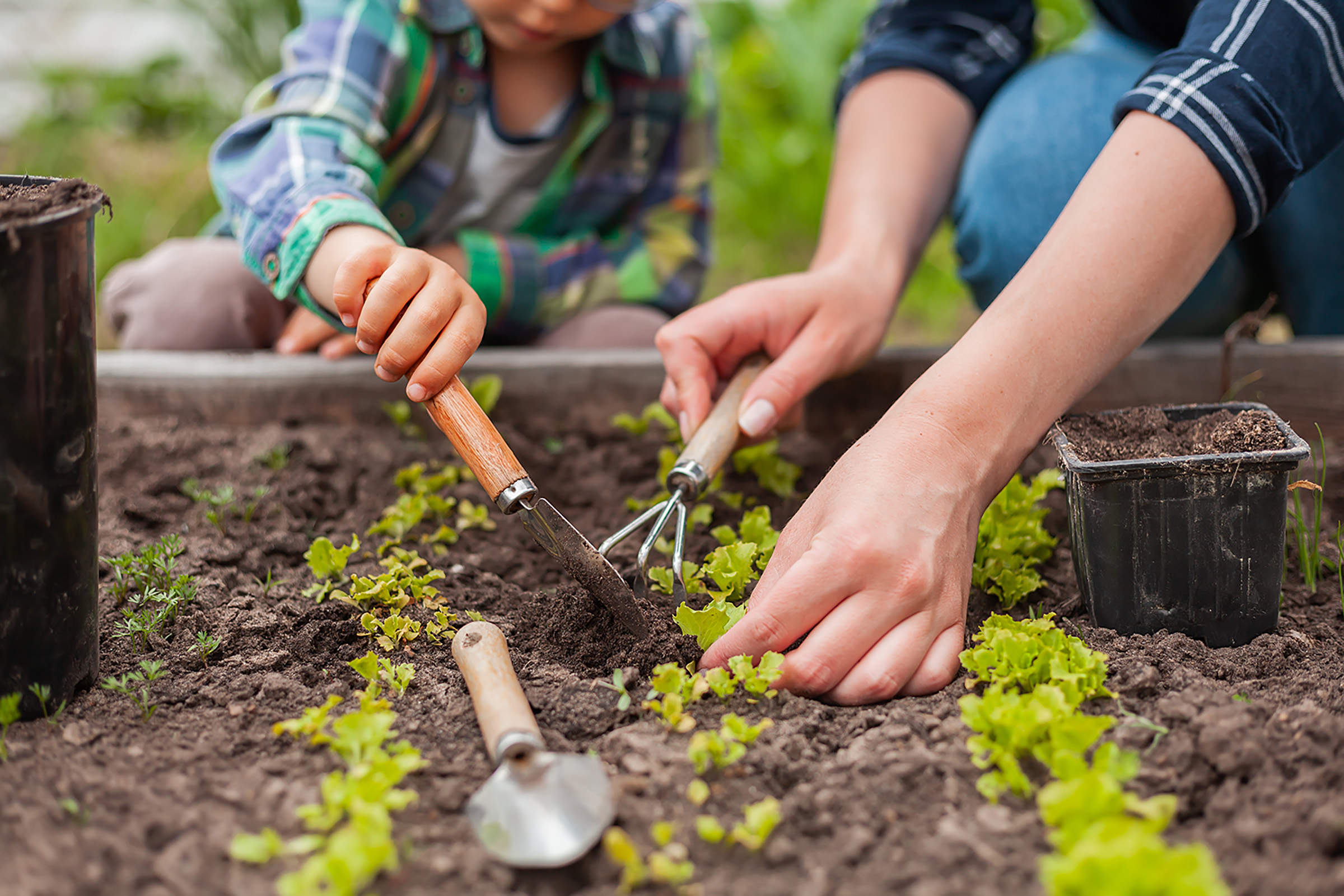 image of home gardeners