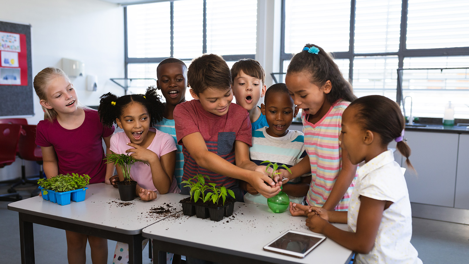 image of kids with plants