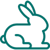 rabbit icon