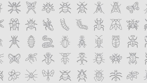 image of bug icons