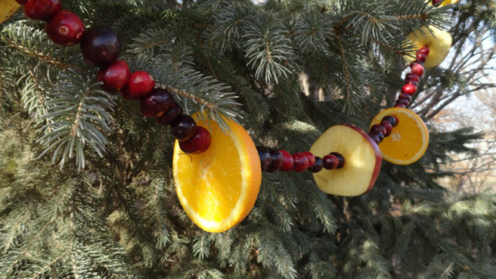 Picture of fruit garland for trees.