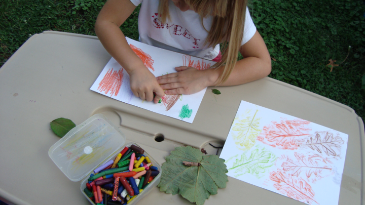 Supplies needed for a child to do a leaf rubbing. Image by Mary Jane Frogge, Nebraska Extension Associate.