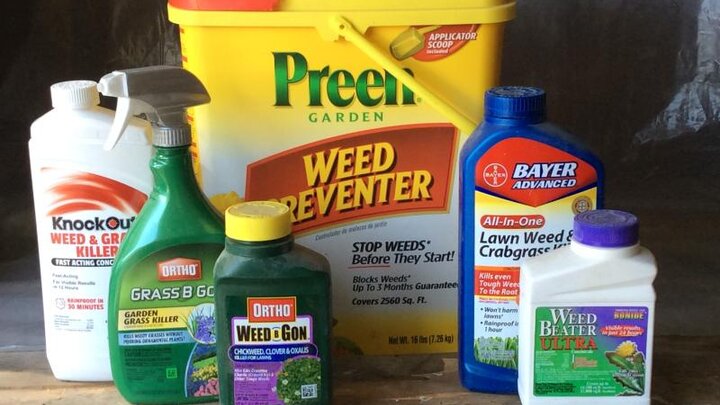 Picture of home pesticides. 