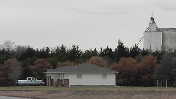 Image of windbreak suffering tree loss due to pine wilt. 