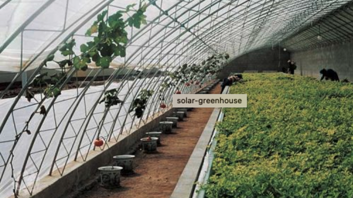 Solar winter greenhouse. Image from ATTRA Sustainable Agriculture, https://attra.ncat.org/product/solar-greenhouses/