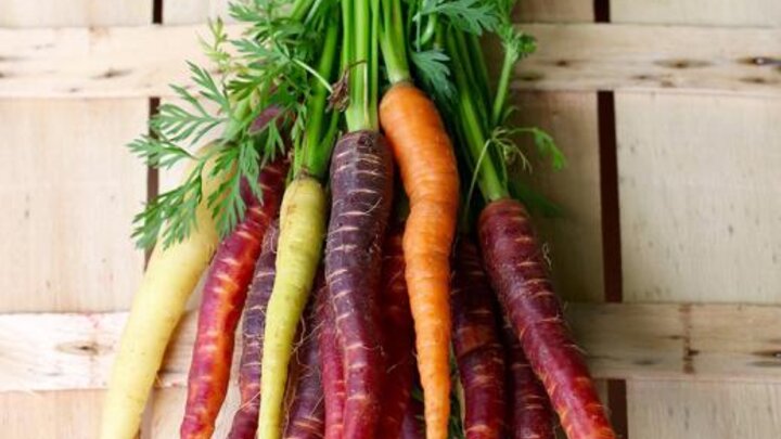 Picture of a bunch of colorful carrots.