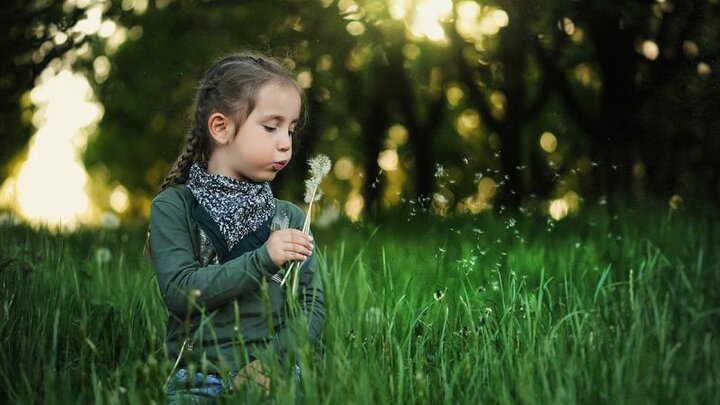 Picture of Child in new grass.