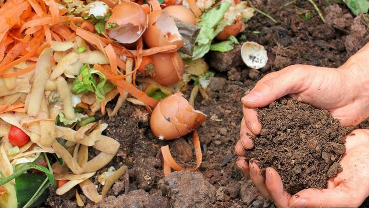 Picture of Composting with Children