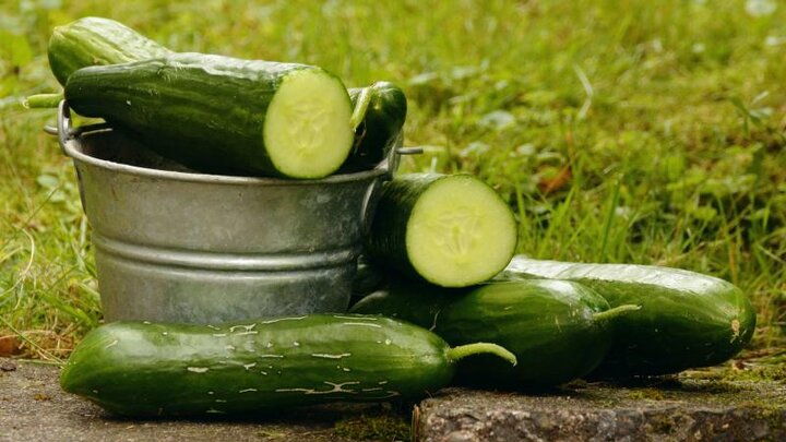 A pile of cucumbers near a tin bucket.