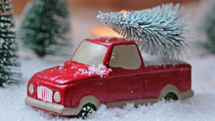 Image of bringing a Christmas tree home. 