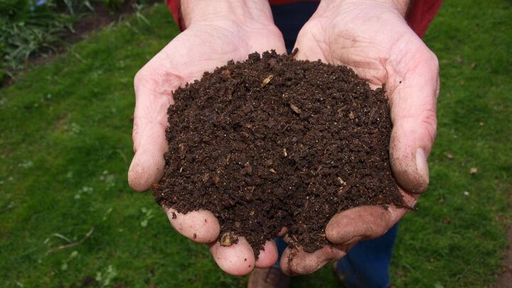 Image of someone holding finished compost in their cupped hands