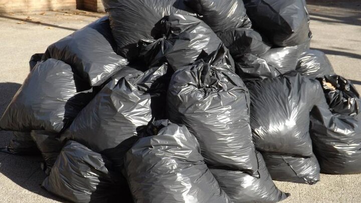 Image of garbage bags full of leaves. 