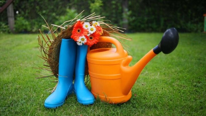 Image of tools for the vegetable garden. 