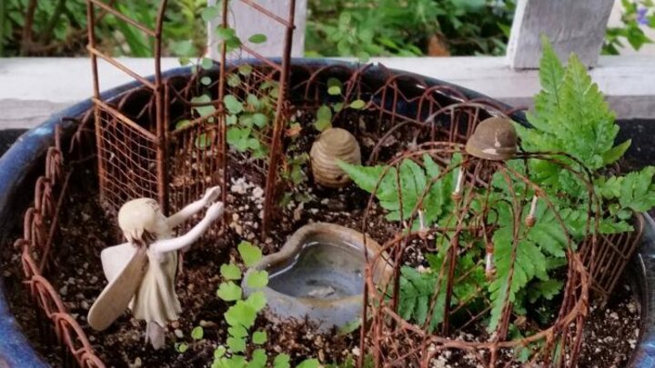 Picture of fairy garden in a pot.