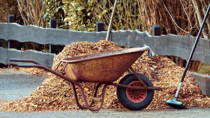 Picture of garden wheelbarrow full of mulch.