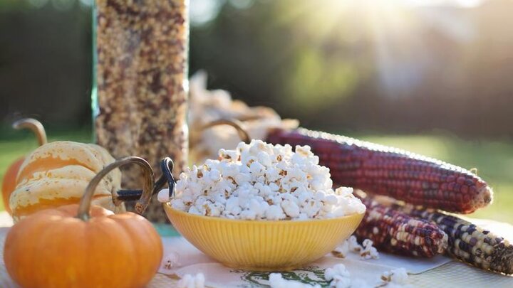 Image of popcorn and Indian corn. 
