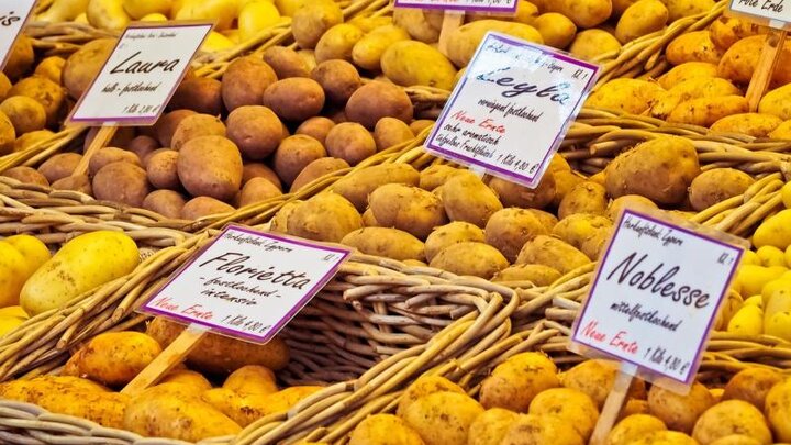 Picture of a variety of Potatoes.