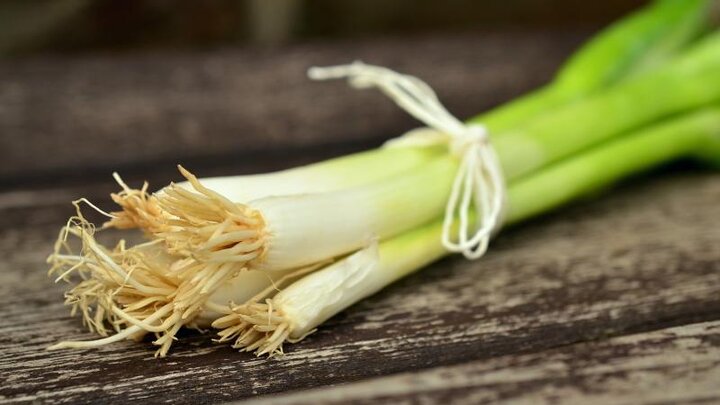 Image of green spring onions. 