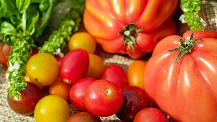 Image of many different types of tomatoes. 