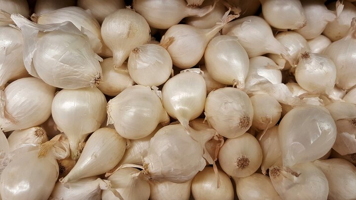 A whole bunch of white onions. Too many to count.