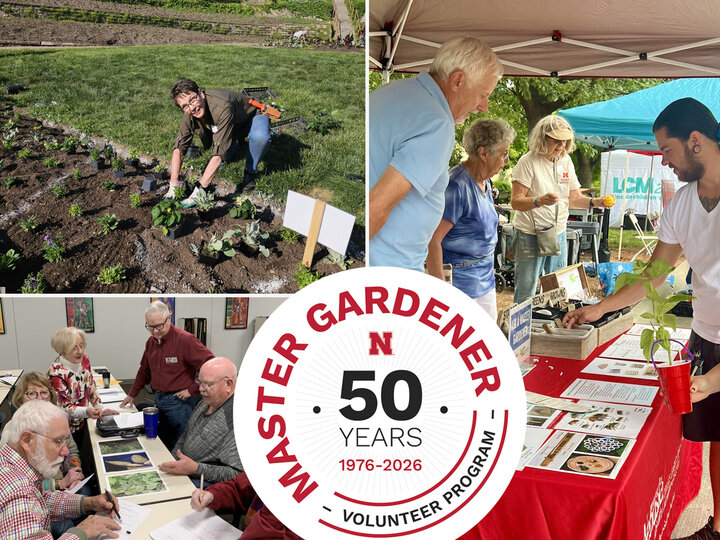 Master Gardener volunteers planting, educating, and collaborating. Artwork says "Master Gardener Volunteer Program • 50 Years • 1976-2026"