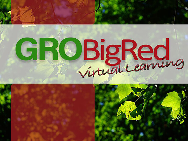 image of GROBigRed logo