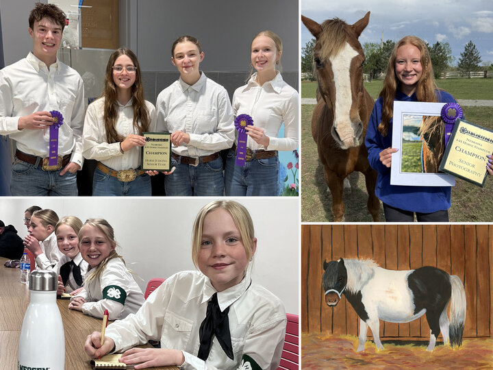 A collage of four photos showing youth who competed at the Horse Stampede; one is artwork of a mini horse drawn by a youth