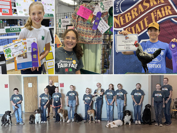 Collage of four photos. 1 a girl holding a notebook. 1 a girl standing by a sewn outfit. 1 a boy and a rooster. 1 a line of 11 youth holding dogs on leashes.
