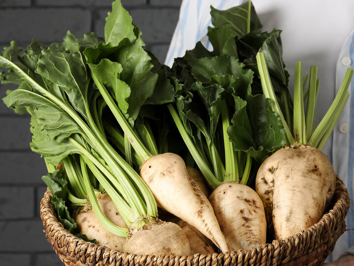 Image of sugar beets. 