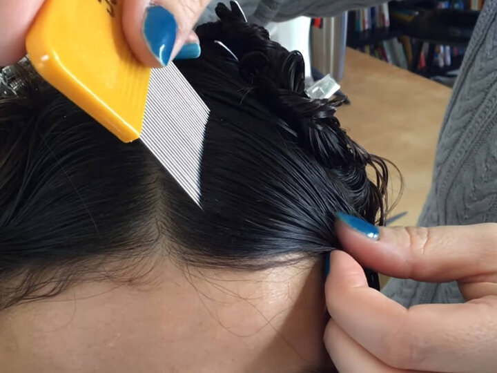 close up of someone combing a girl's wet hair with a nit comb