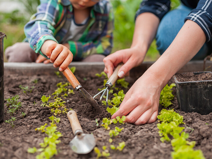 image of home gardeners