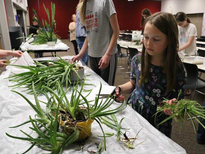 image of kid with plant