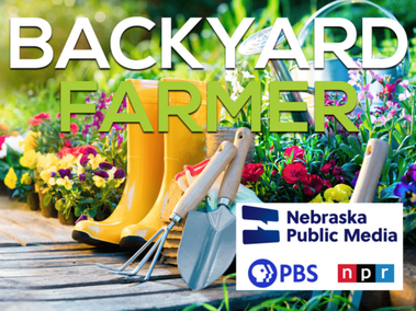 Garden tools in front of a flower bed. Text reads Backyard Farmer, Nebraska Public Media